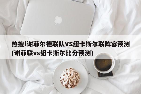 热搜!谢菲尔德联队VS纽卡斯尔联阵容预测(谢菲联vs纽卡斯尔比分预测)