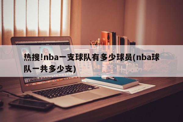 热搜!nba一支球队有多少球员(nba球队一共多少支)